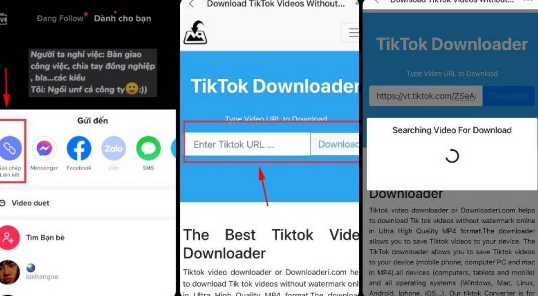 Download video Tik Tok với Tik Tok Downloader