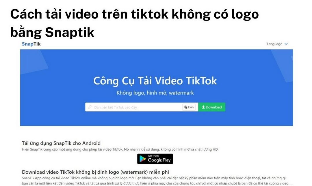 Cách tải video về máy tính bằng Snaptik